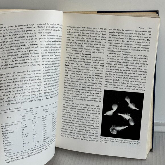 Vintage 1960 Botany: Hill Overholts Popp Grove Mcgraw-Hill Hardcover Book - Picture 10 of 12